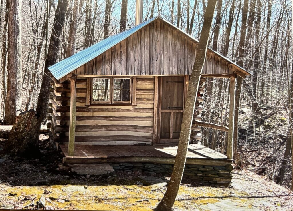 Tin Roof on cabin at Thorpewood