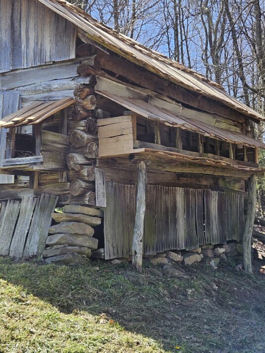 Henhouse boxes and roof repaired