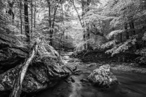 Ben Panter Ancient Stones in the Creek 2017 